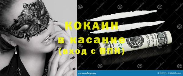 индика Зеленокумск