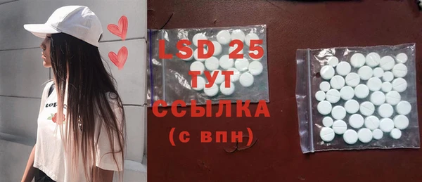 индика Зеленокумск