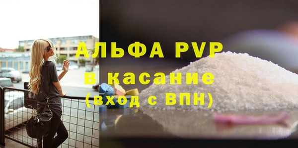 индика Зеленокумск