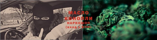 индика Зеленокумск