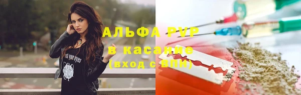 индика Зеленокумск