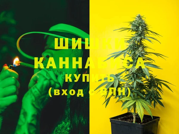 индика Зеленокумск