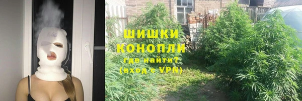 индика Зеленокумск
