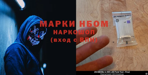 индика Зеленокумск